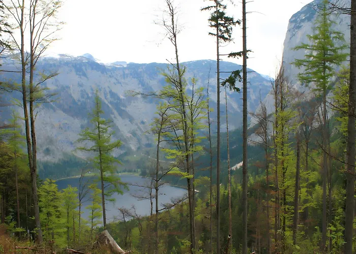 Apartment Sonnenalm -